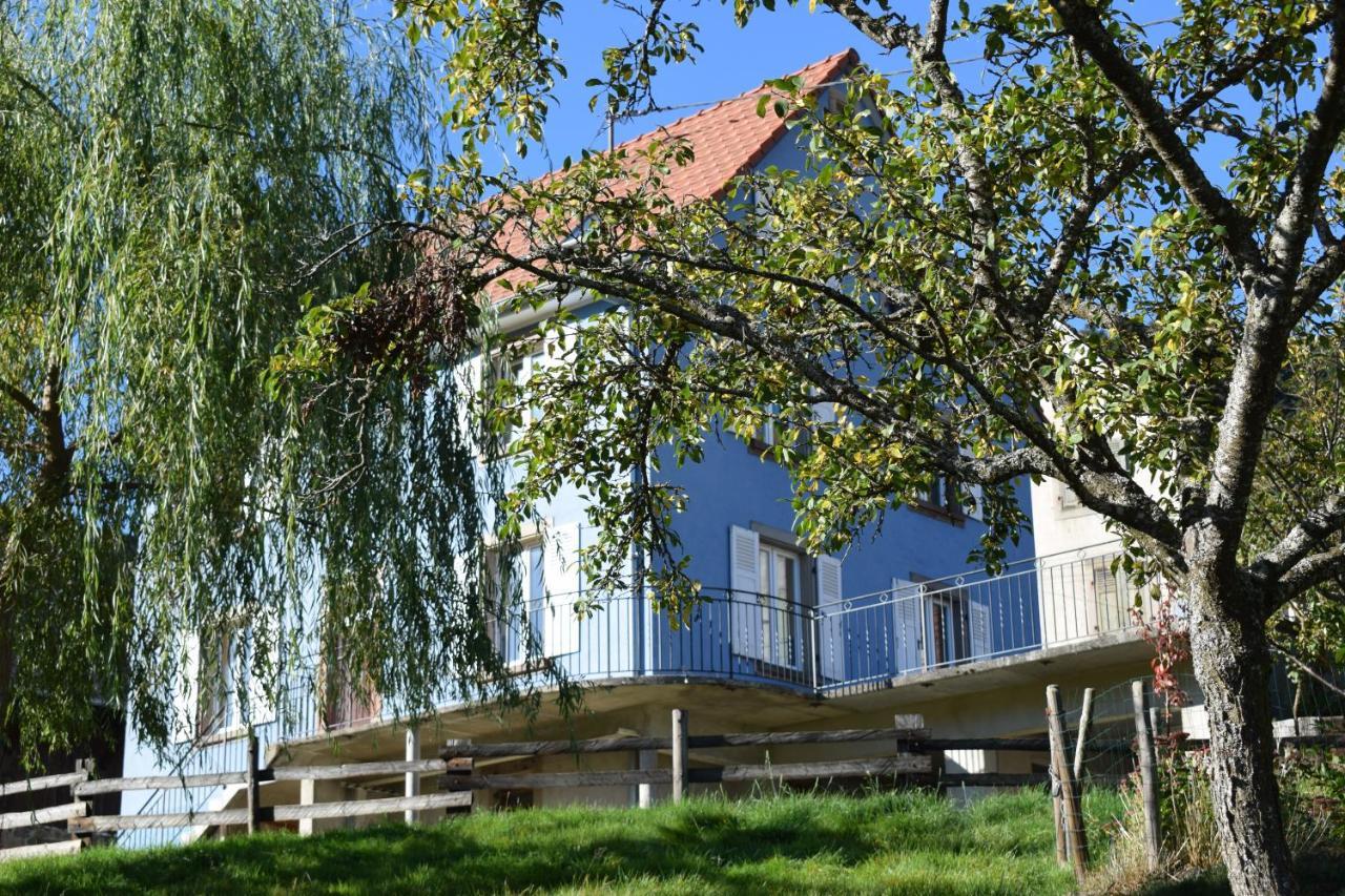 Les Locations de Stéphanie ,gîte L'Arbre Vert Sondernach Extérieur photo