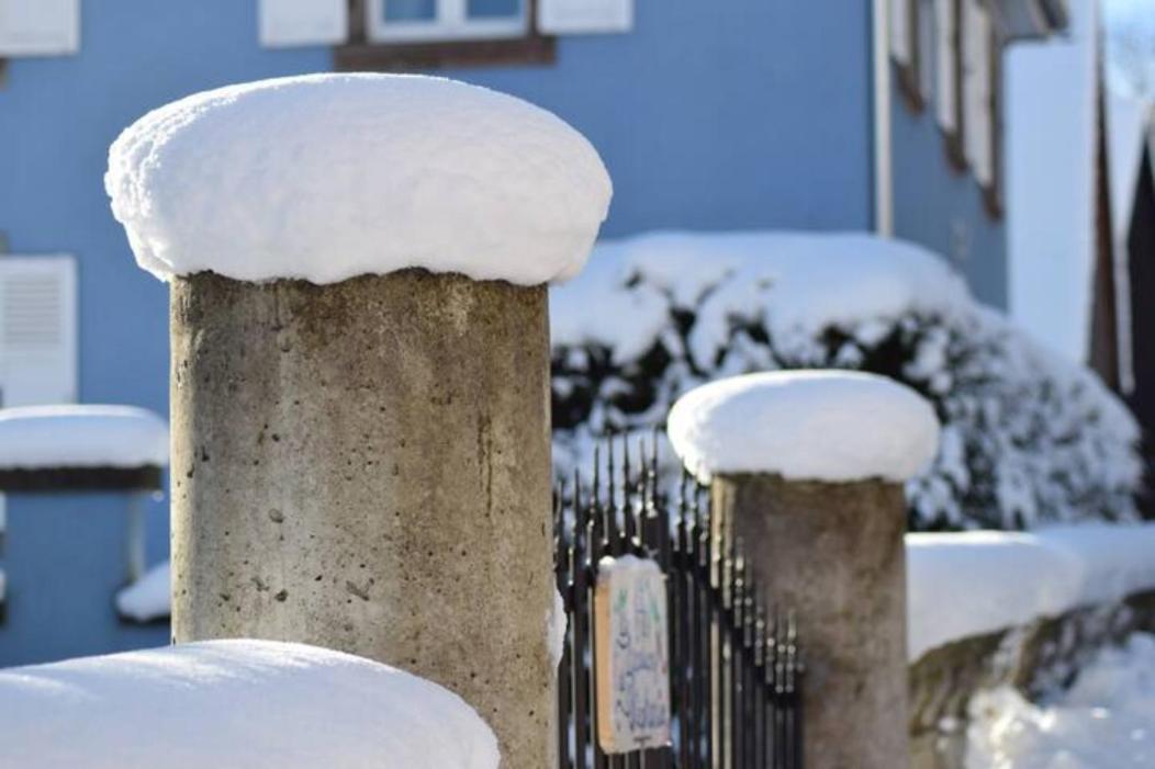 Les Locations de Stéphanie ,gîte L'Arbre Vert Sondernach Extérieur photo