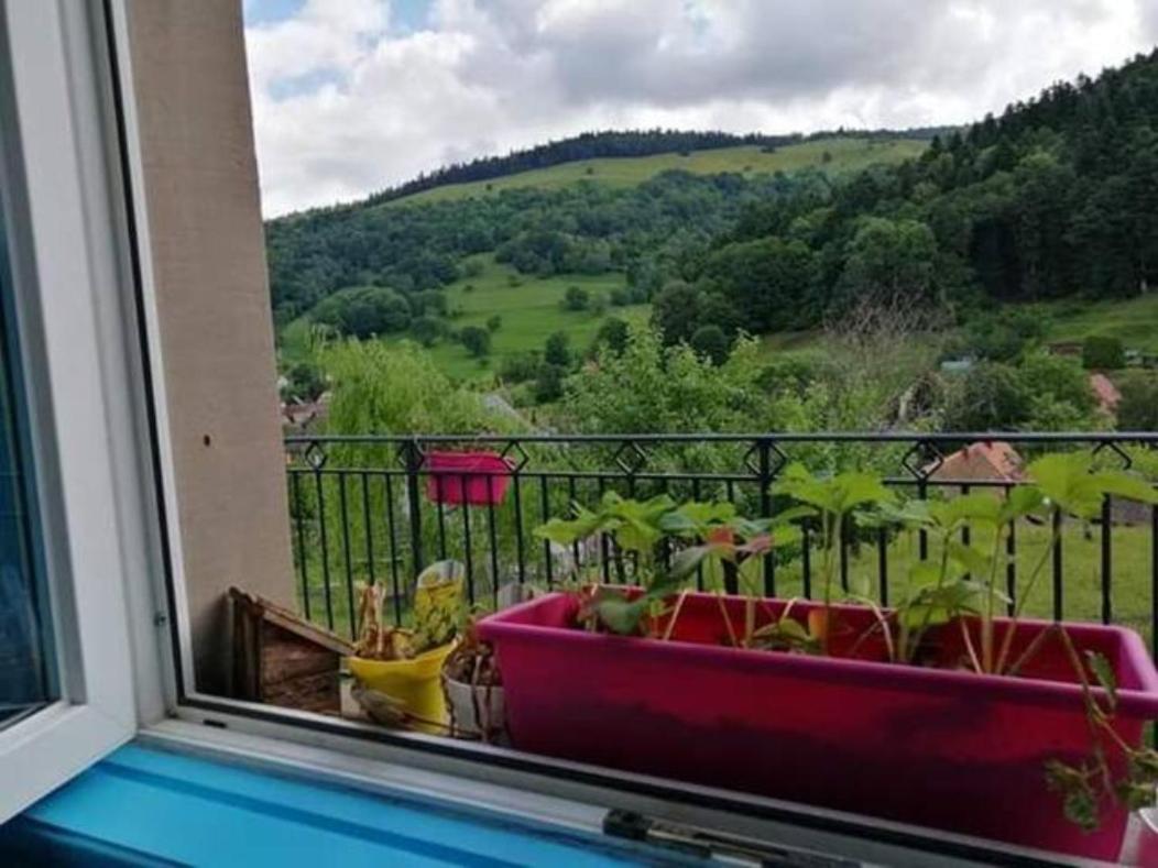 Les Locations de Stéphanie ,gîte L'Arbre Vert Sondernach Extérieur photo