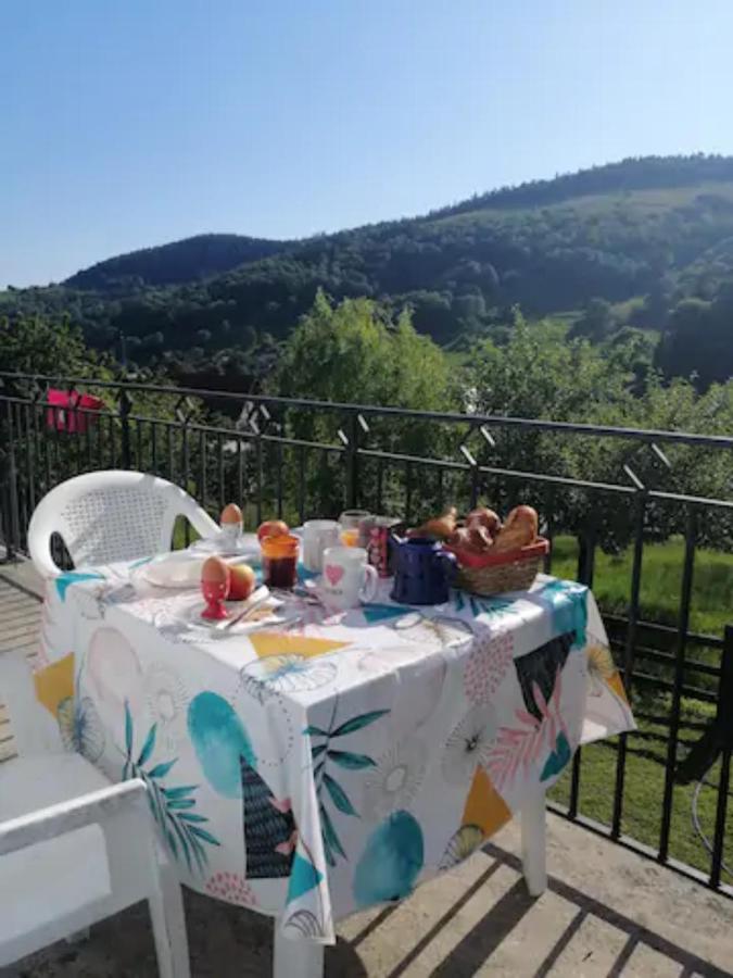 Les Locations de Stéphanie ,gîte L'Arbre Vert Sondernach Extérieur photo