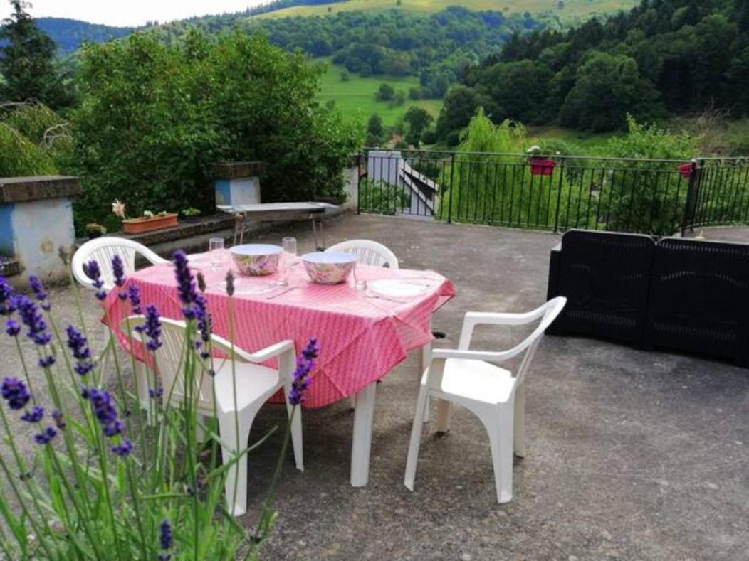 Les Locations de Stéphanie ,gîte L'Arbre Vert Sondernach Extérieur photo