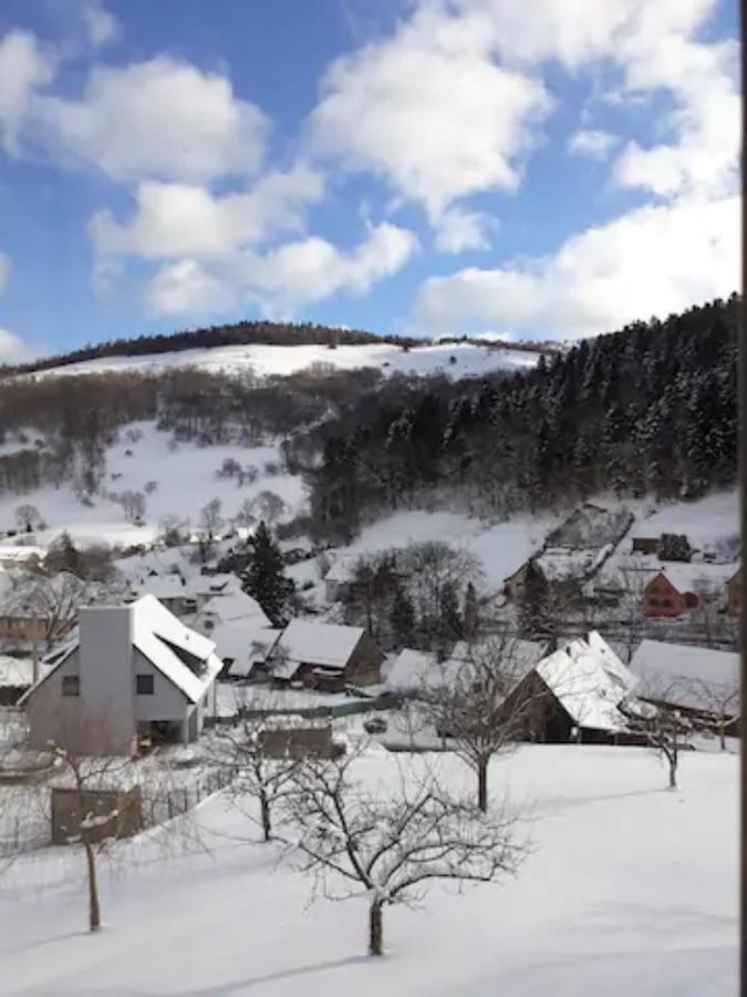 Les Locations de Stéphanie ,gîte L'Arbre Vert Sondernach Extérieur photo