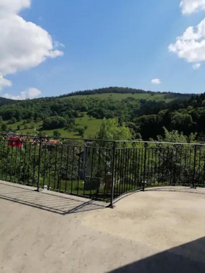 Les Locations de Stéphanie ,gîte L'Arbre Vert Sondernach Extérieur photo