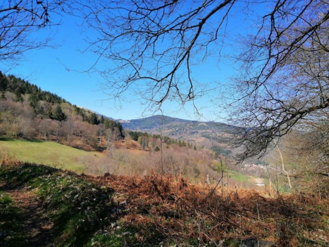 Les Locations de Stéphanie ,gîte L'Arbre Vert Sondernach Extérieur photo