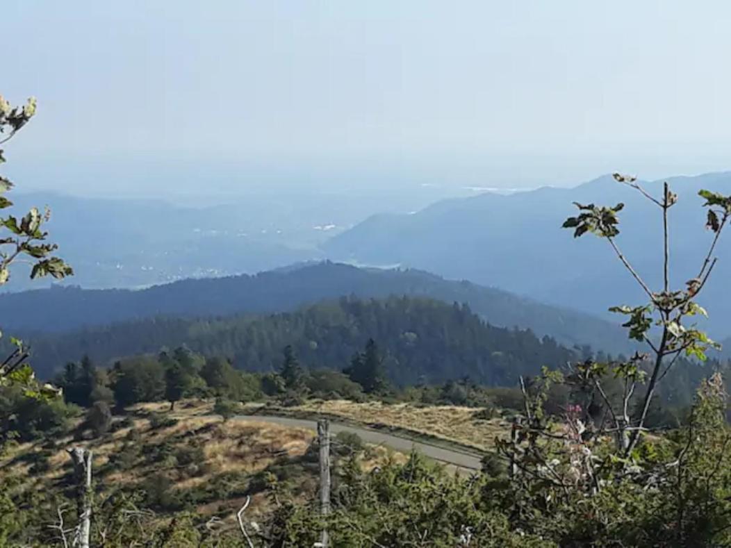 Les Locations de Stéphanie ,gîte L'Arbre Vert Sondernach Extérieur photo