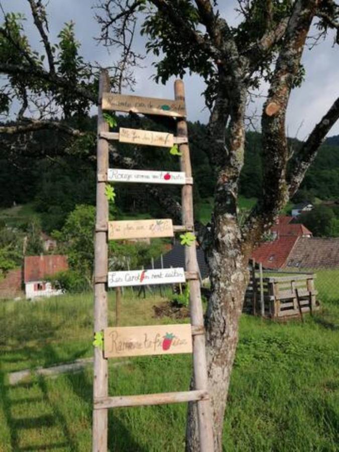 Les Locations de Stéphanie ,gîte L'Arbre Vert Sondernach Extérieur photo