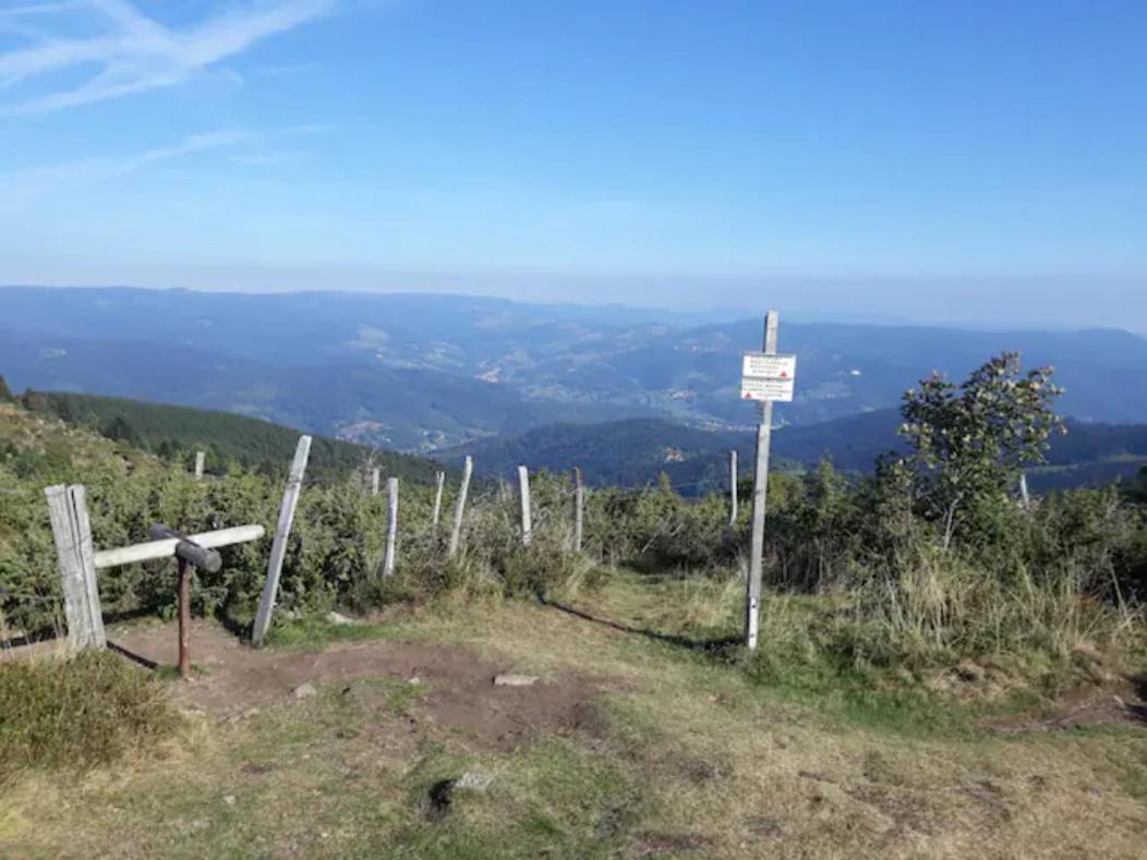 Les Locations de Stéphanie ,gîte L'Arbre Vert Sondernach Extérieur photo