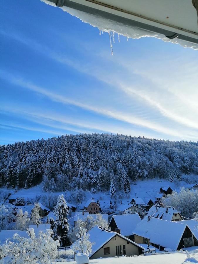 Les Locations de Stéphanie ,gîte L'Arbre Vert Sondernach Extérieur photo