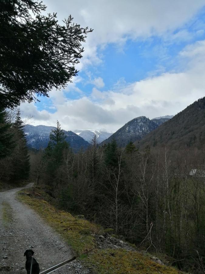 Les Locations de Stéphanie ,gîte L'Arbre Vert Sondernach Extérieur photo