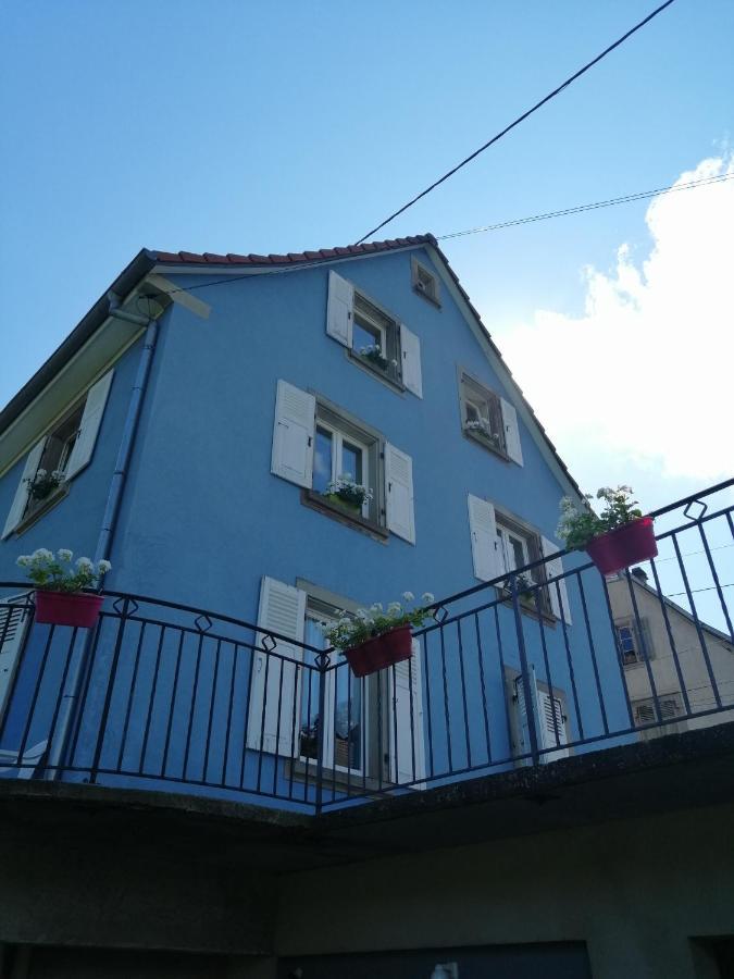 Les Locations de Stéphanie ,gîte L'Arbre Vert Sondernach Extérieur photo