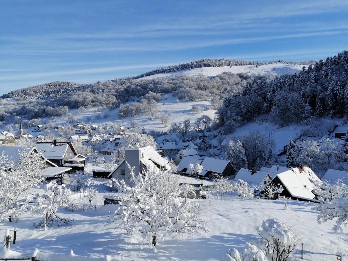 Les Locations de Stéphanie ,gîte L'Arbre Vert Sondernach Extérieur photo